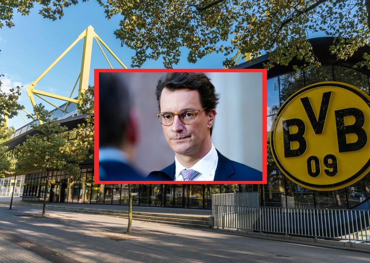 BVB Wüst.jpg