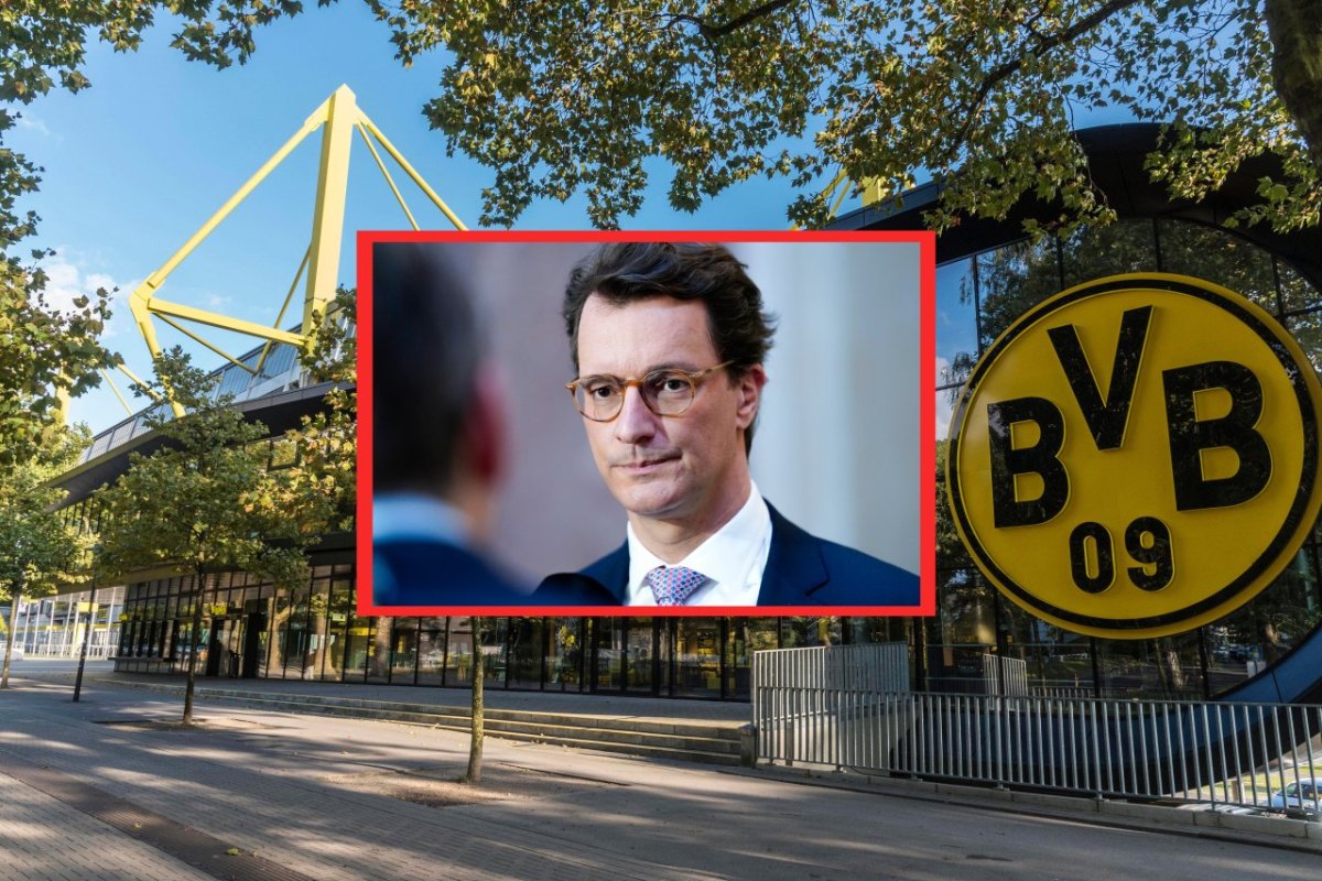 BVB Wüst.jpg