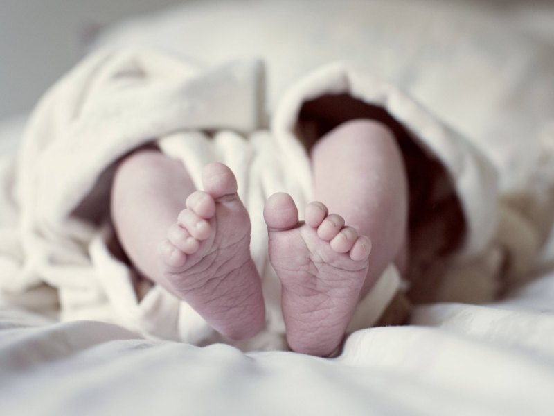 Baby.jpg