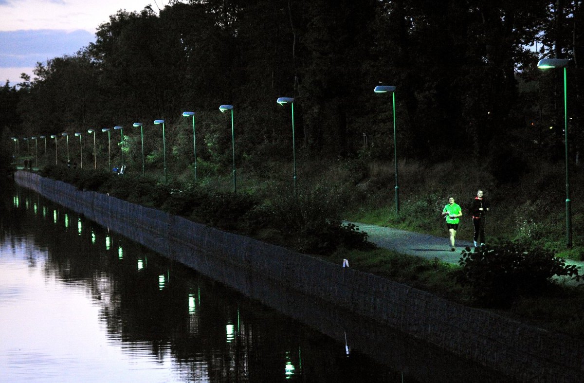 Beleuchtete Laufstrecke Regattabahn Duisburg.jpg