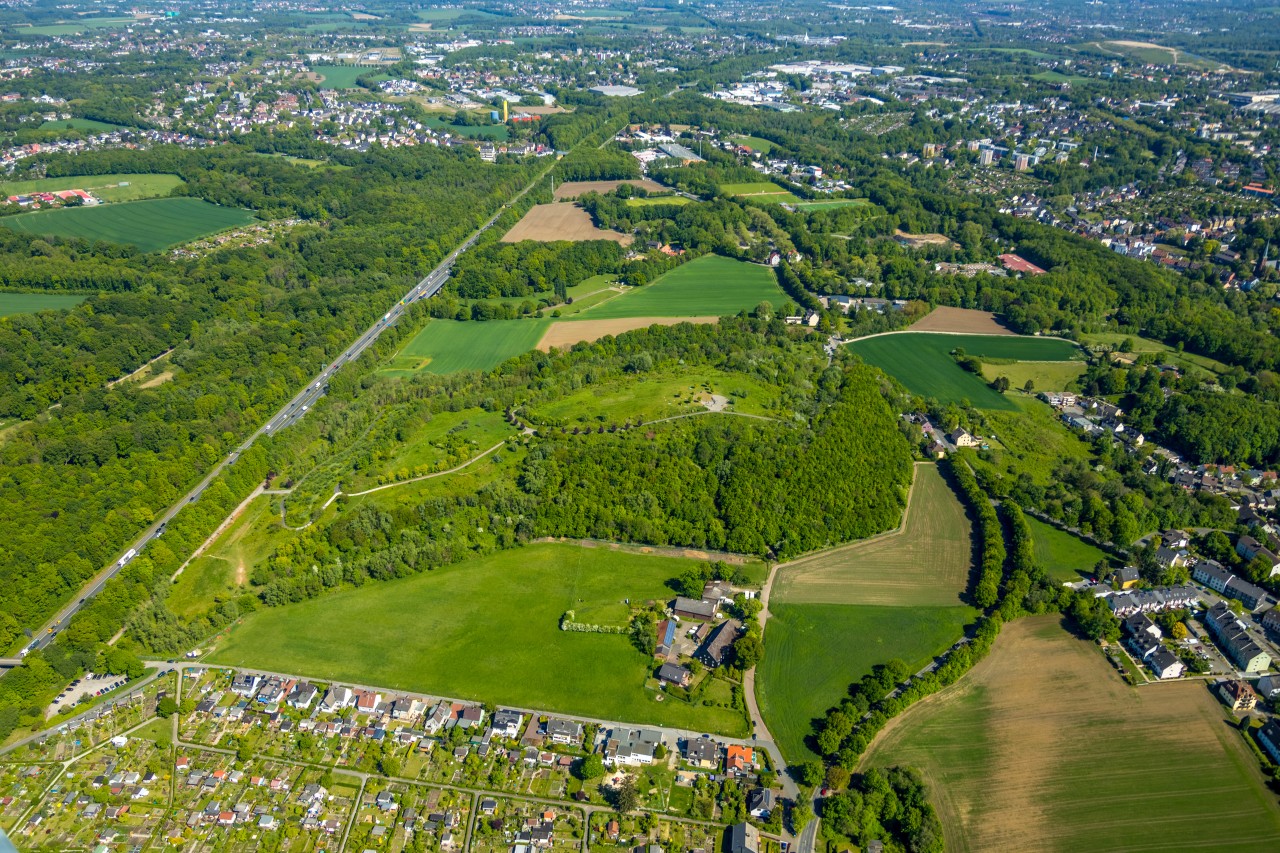 Der Tippelsberg in Bochum im Jahr 2020. (Archivbild)