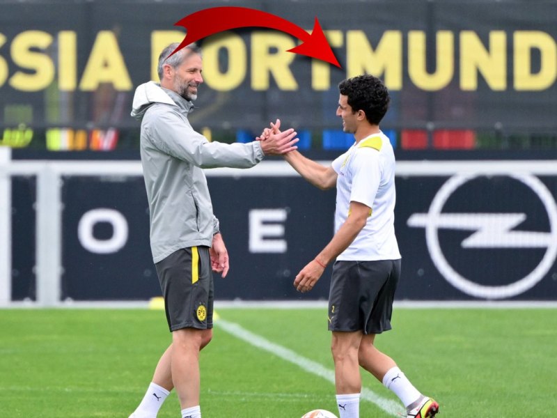 Borussia Dortmund Morey .jpg