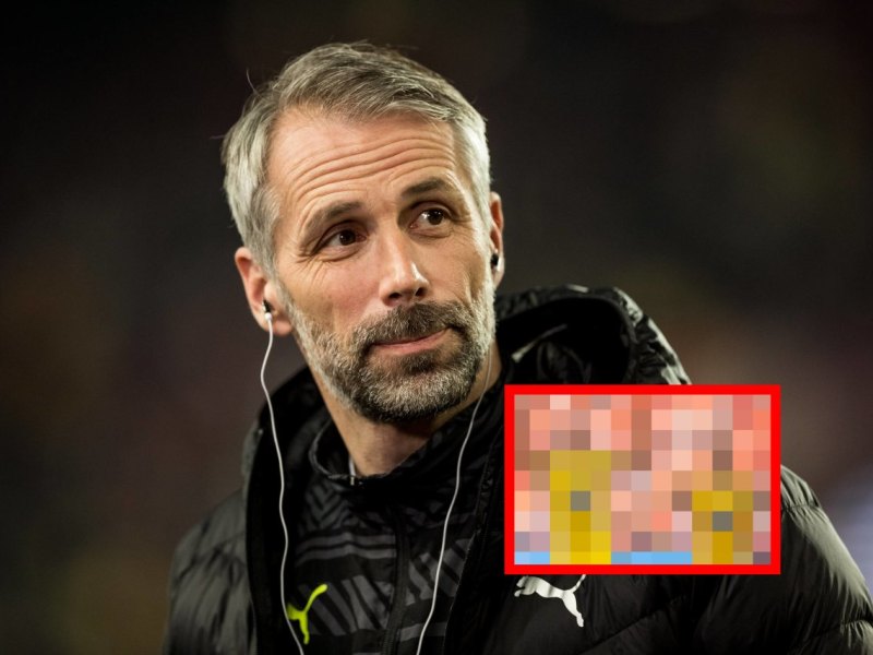 Borussia-Dortmund-Rose
