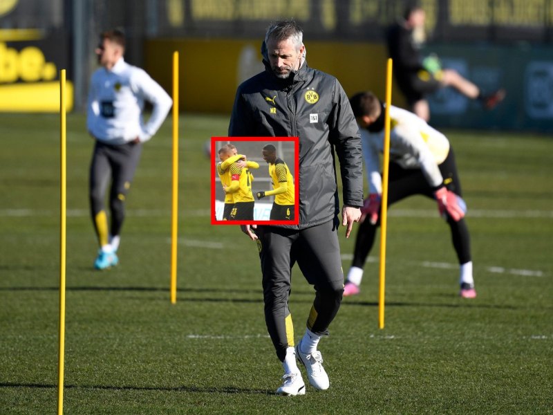 Borussia-Dortmund-Rose
