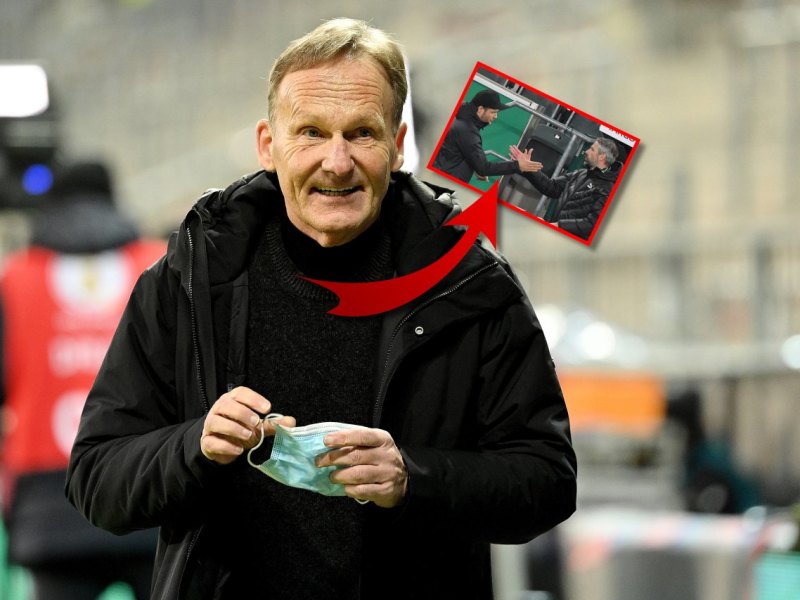 Borussia Dortmund Terzic.jpg