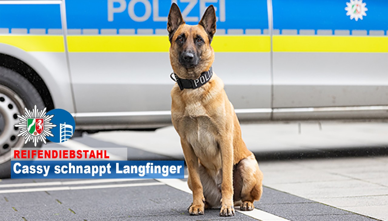 Cassy ist Polizeihündin in Oberhausen.