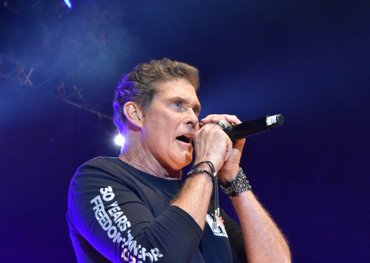 DavidHasselhoff.JPG