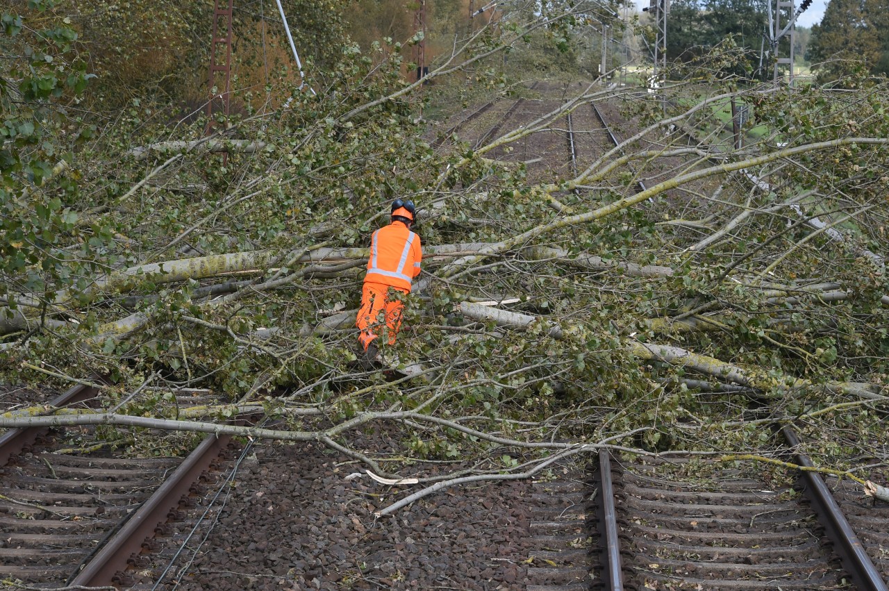 Deutsche Bahn: In NRW sind zahlreiche Bäume auf Gleise gestürzt. (Archivbild)