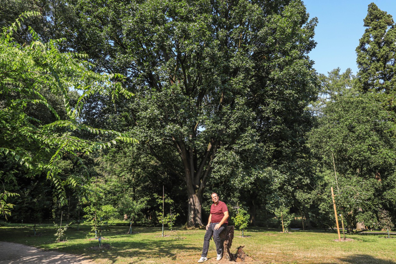 Dr. Patrick Knopf im Rombergpark in Dortmund. 