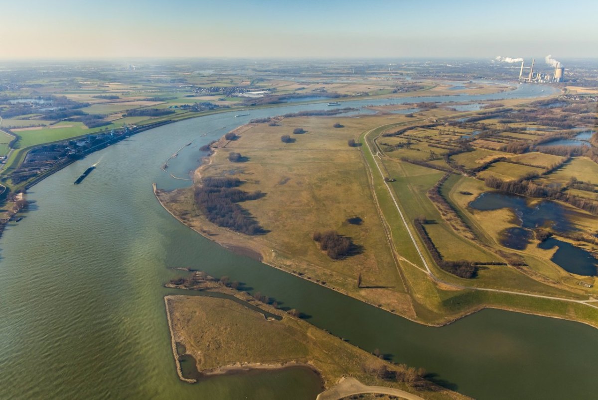 Duisburg Naturschützer Ruhrgebiet Naturschutz seltener Vogel Rheinaue Walsum Heiligen Ibis