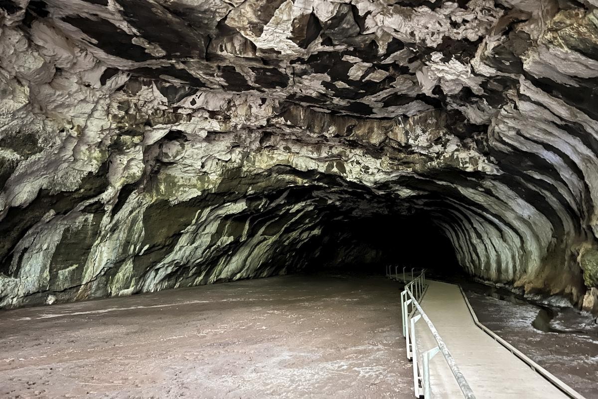 Durch Vulkanausbrüche sind riesige Lavatunnel entstanden. Teile davon kann man im Undara-Volcanic-Nationalpark begehen. 