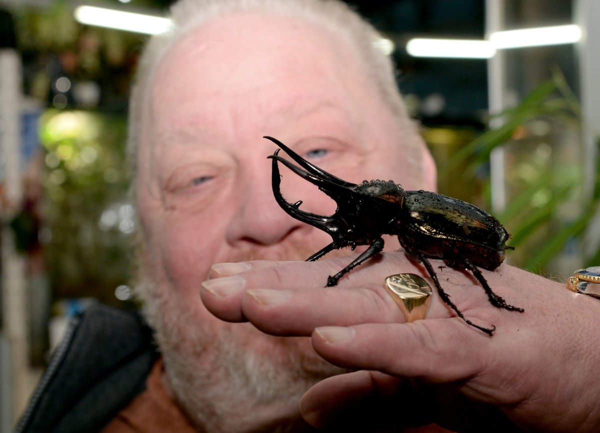 Einbruch Zoo Zajac.jpg