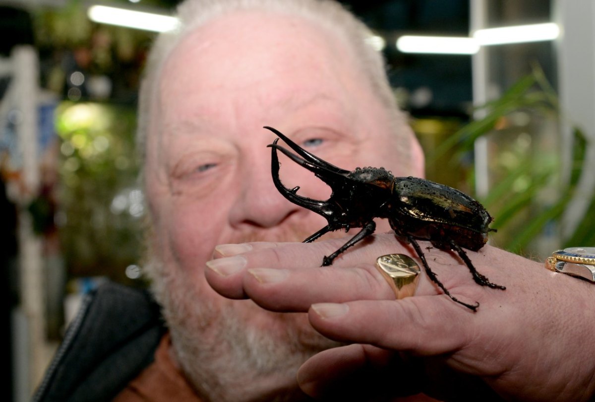 Einbruch Zoo Zajac.jpg