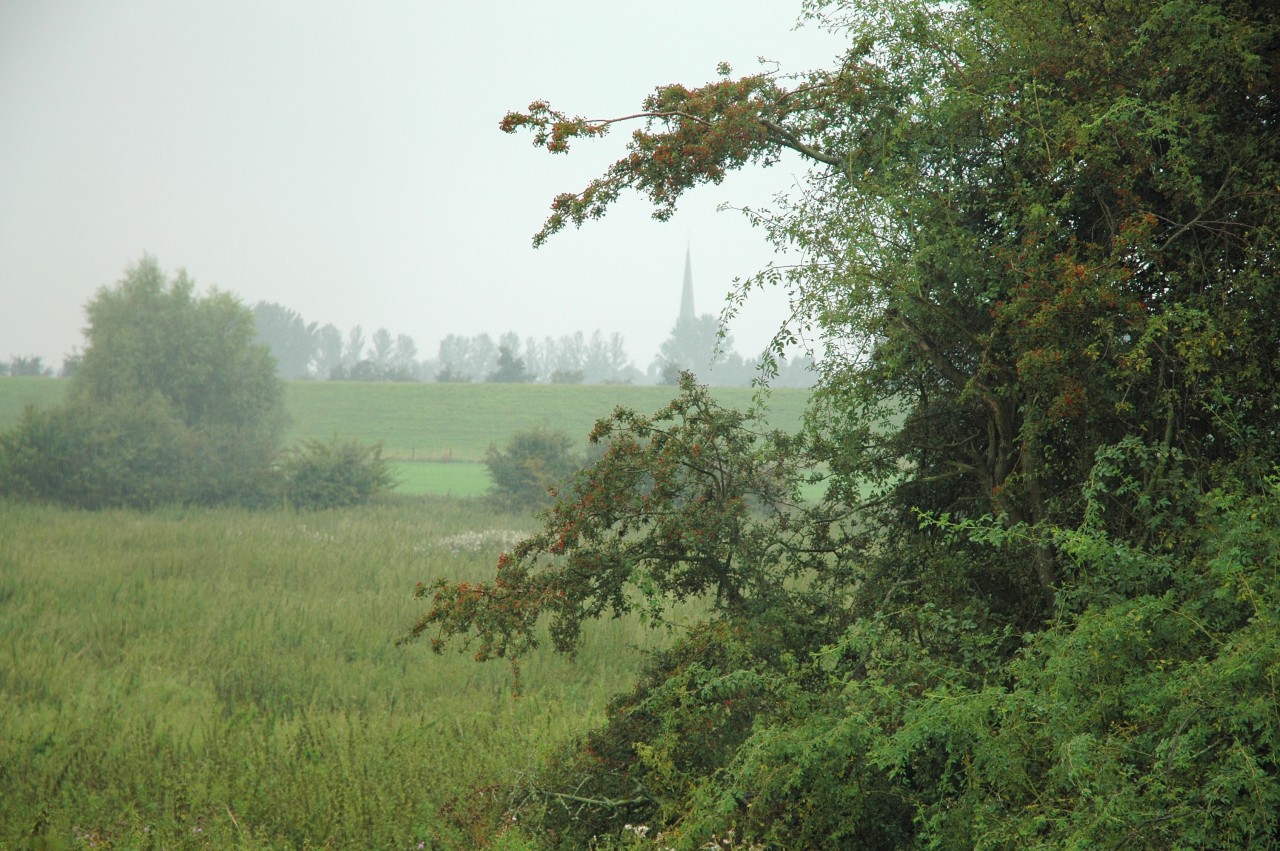 Das Naturschutzgebiet  Emmericher Ward. 