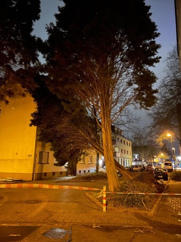 In Essen-Altendorf stürzte ein Baum auf ein Mehrfamilienhaus.