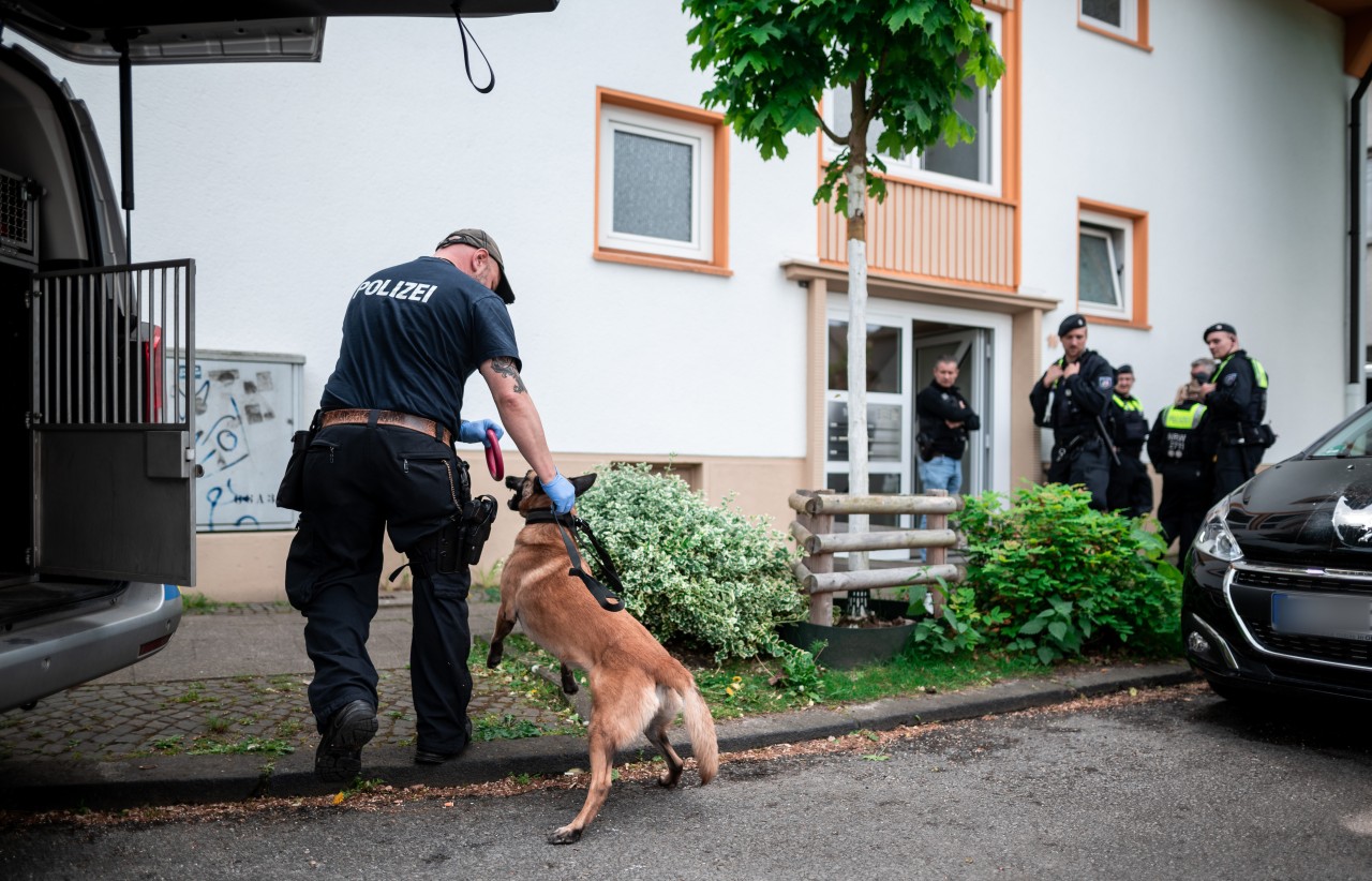 Essen: Bei der Spurensicherung kamen auch Spürhunde zum Einsatz.