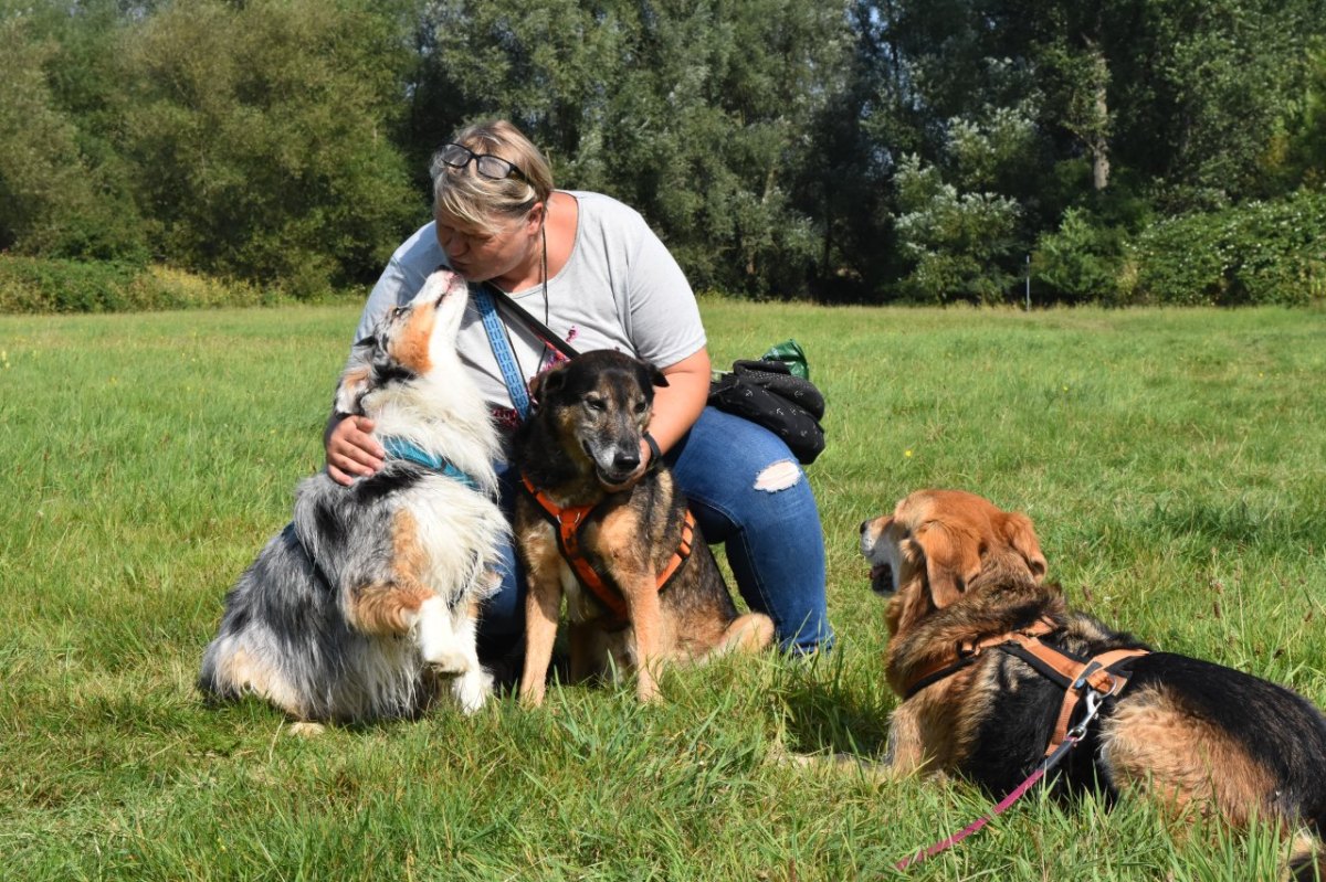 Essen-Hund-gassigehen.JPG