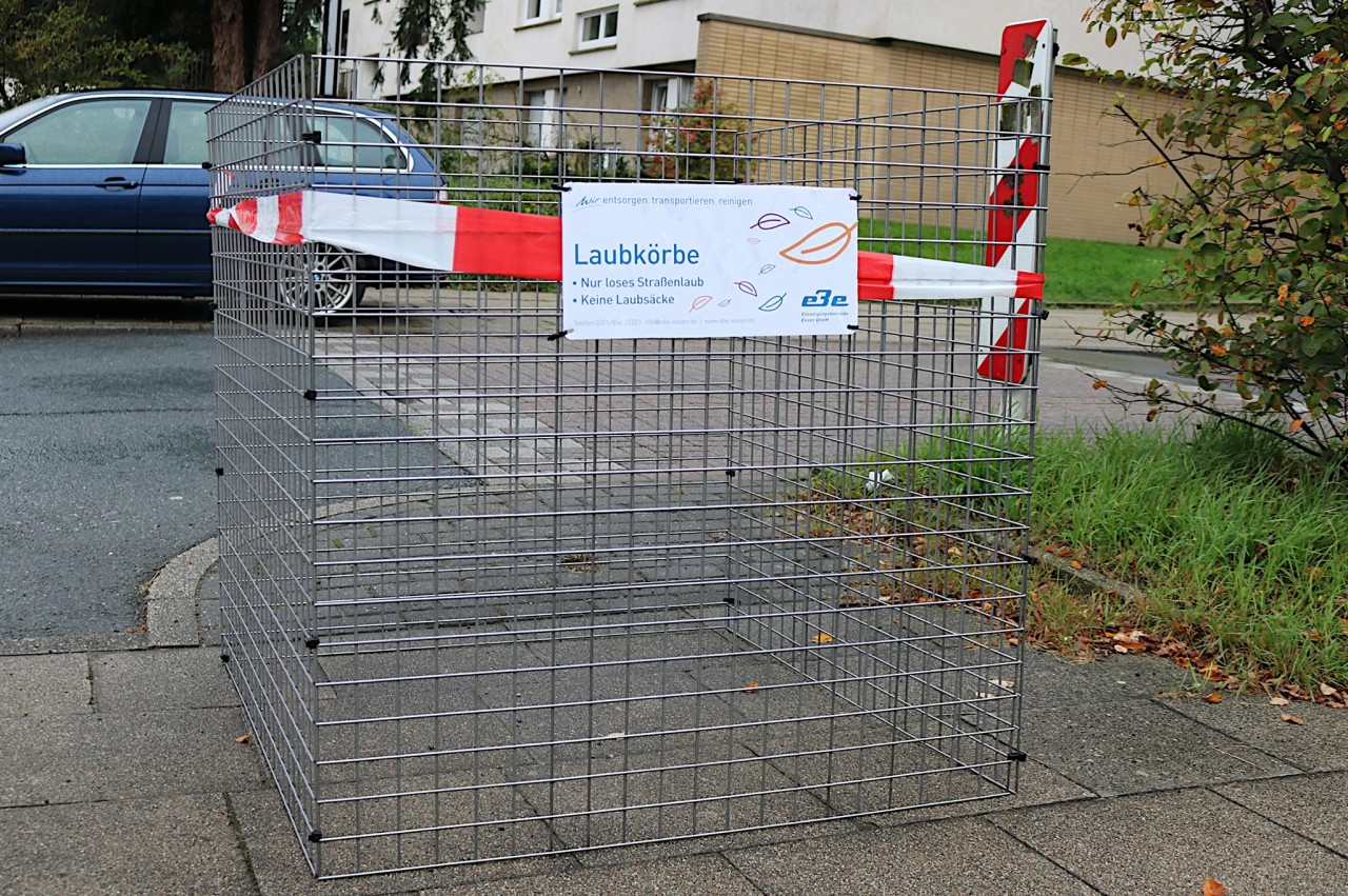 Die Stadt Essen hat ihre Bürger dazu aufgefordert, den Herbstlaub in aufgestellte Körbe abzulegen. Doch die Anwohner sind sauer!