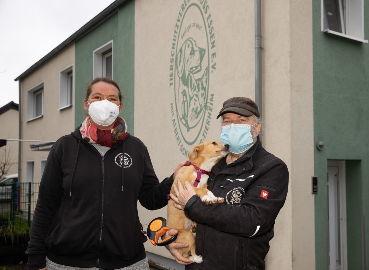 Essen: Jeanette Gudd, Leiterin des Tierheims mit Heinz Schulze, Tierpfleger und Hundewelpen Luna. (Archivbild)