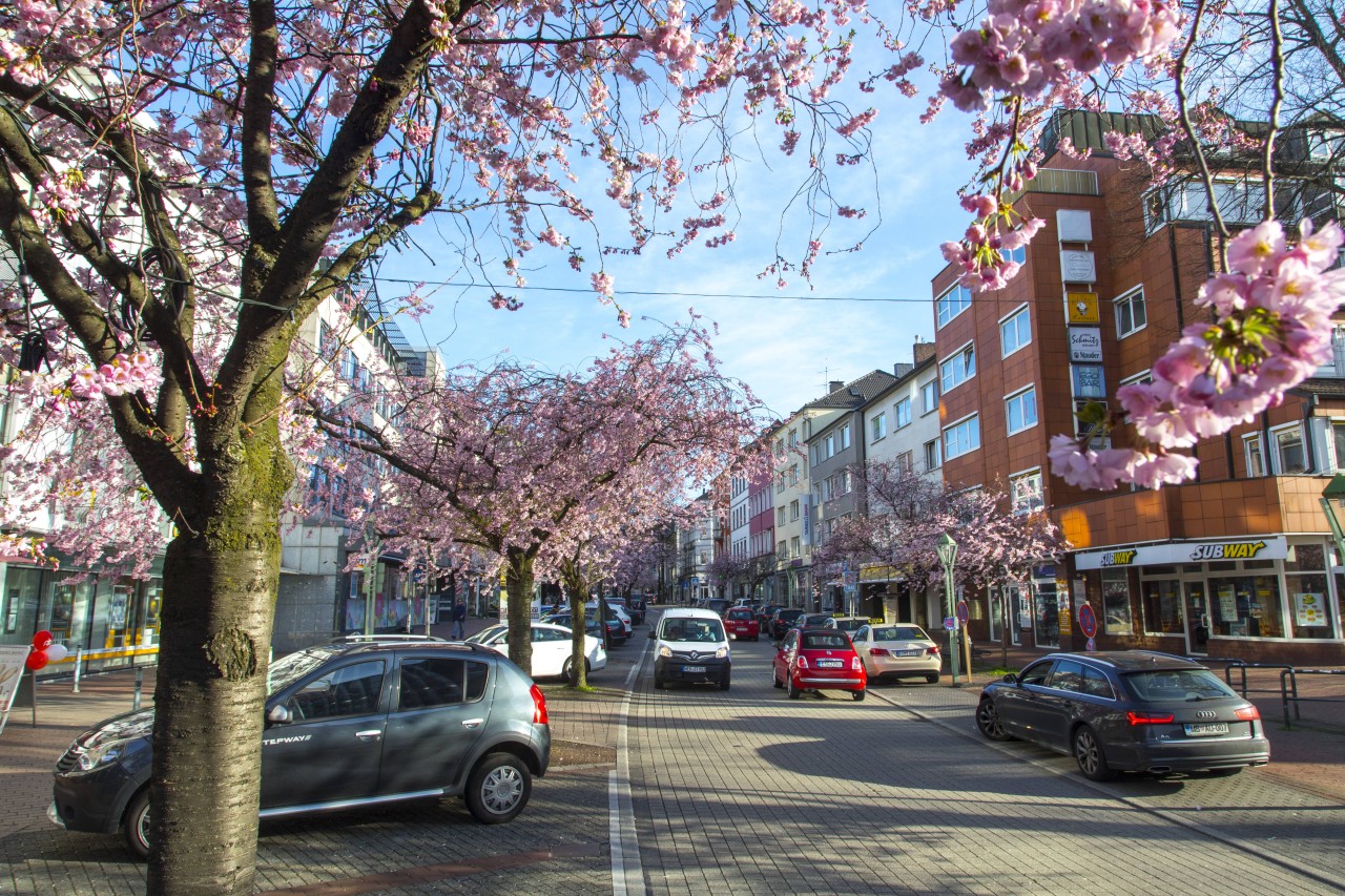 Essen: Im schönen Stadtteil Rüttenscheid müssen die Bürger einen traurigen Anblick hinnehmen. 