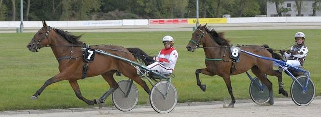 Europa-Derby der Vierjährigen Traber_1--656x240.jpg