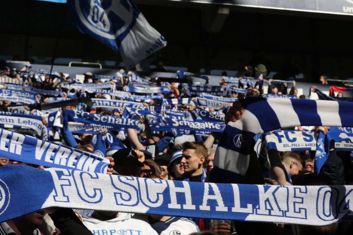 FC Schalke 04.jpg