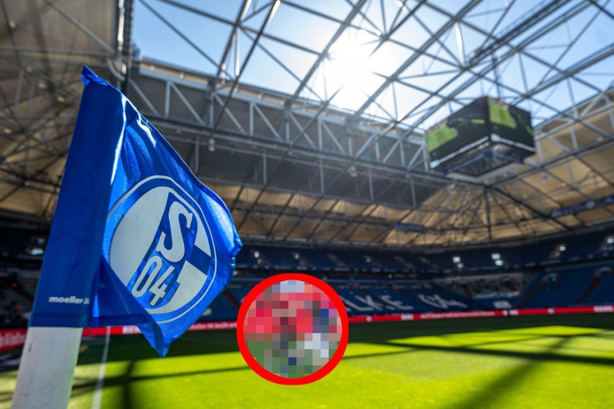 FC-Schalke-04-Hannover-96