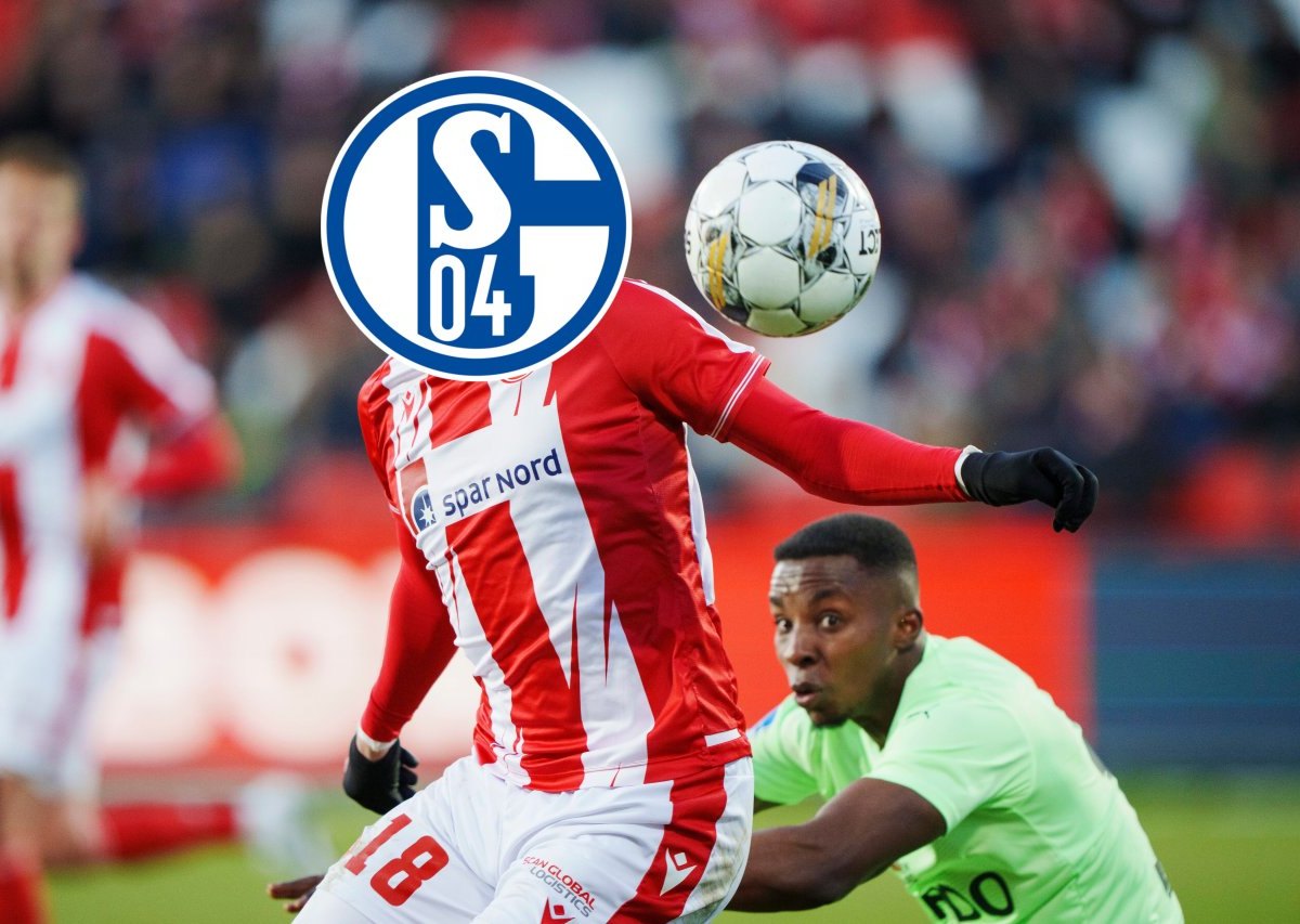 FC Schalke 04 Louka Prip.jpg