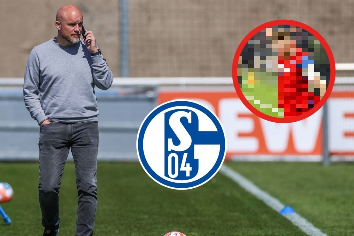 FC Schalke Mohr.jpg