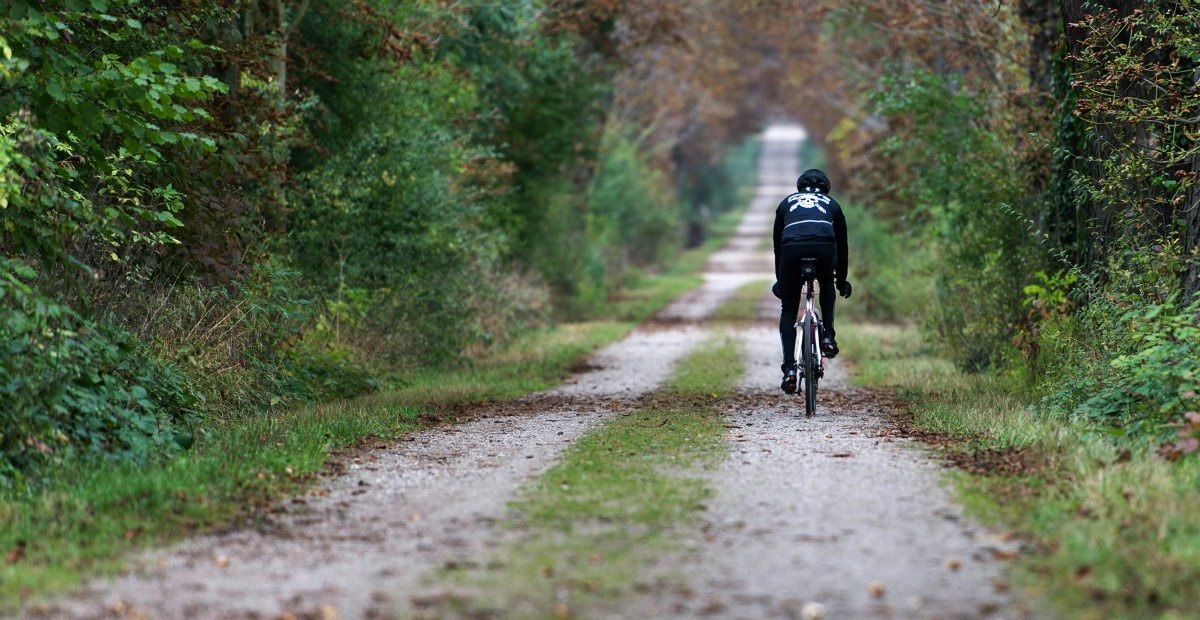 Fahrradtour Wald.jpg