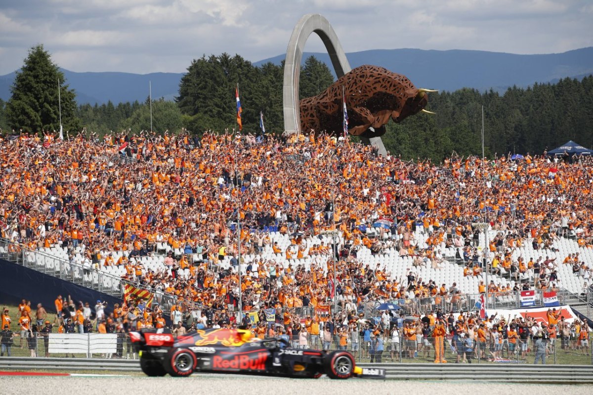 Formel 1 Verstappen Fans