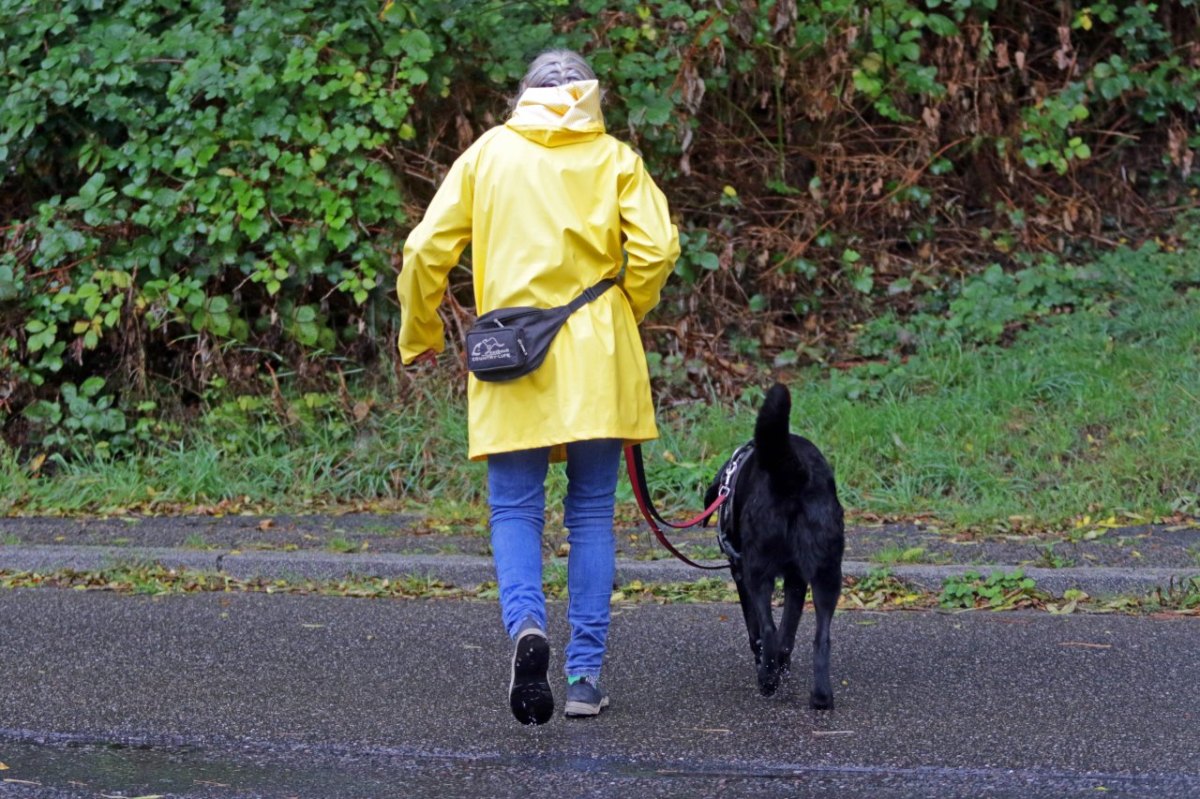 Frau mit Hund Gassi.jpg