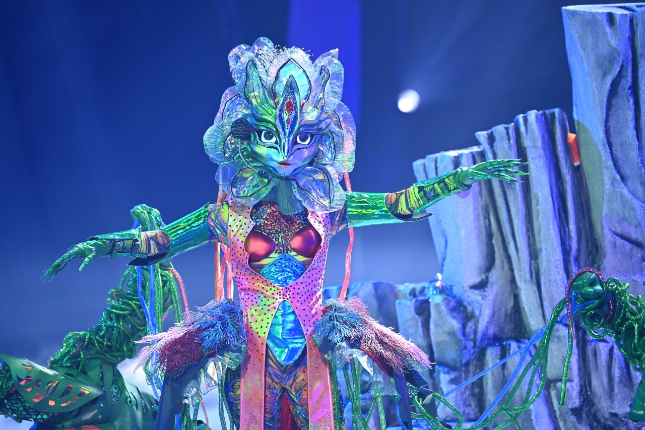 The Masked Singer: Galax'Sis darf am samstag nicht auftreteten.