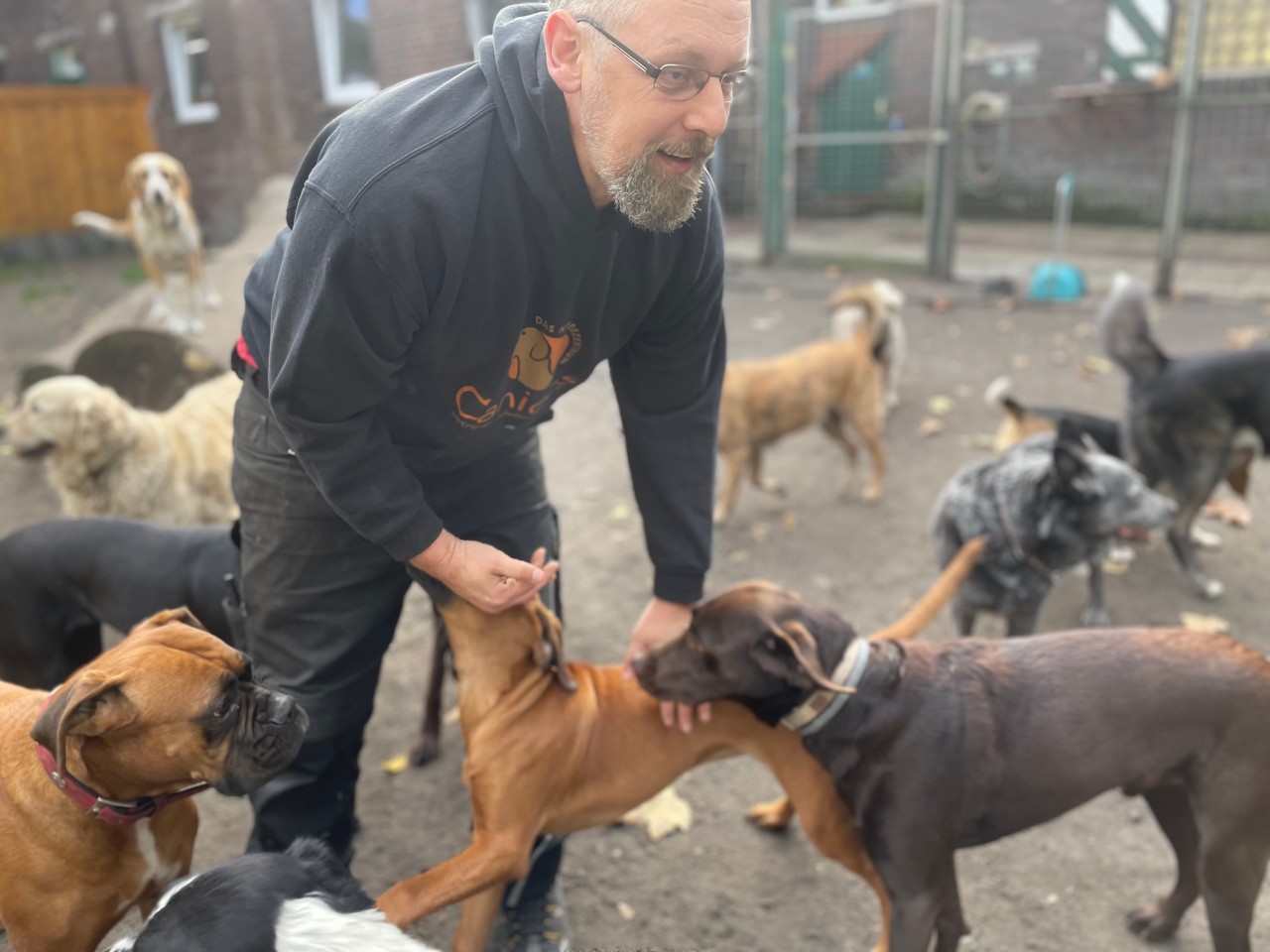 Gelsenkirchen: In seiner Therapie setzt Hundepsychologe Ralph Brandt auf Strenge und Liebe zugleich. 