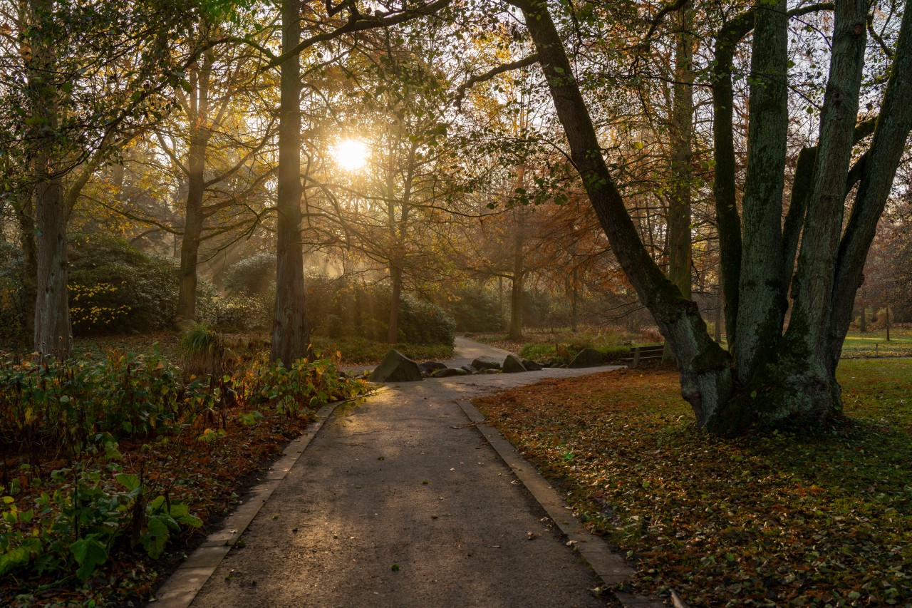 Der Grugapark in Essen macht auf Facebook eine Ankündigung.