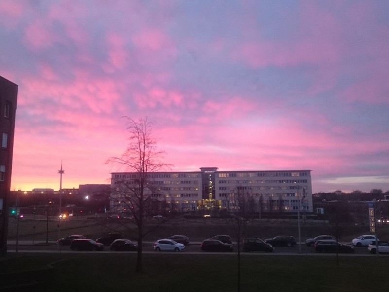 So schön leuchtet der Himmel im Thyssenkrupp Quartier, wenn die Sonne aufgeht.