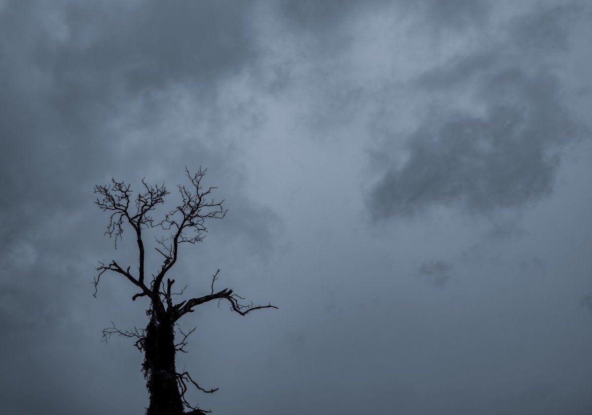 Halloween Sturm Wetter.jpg