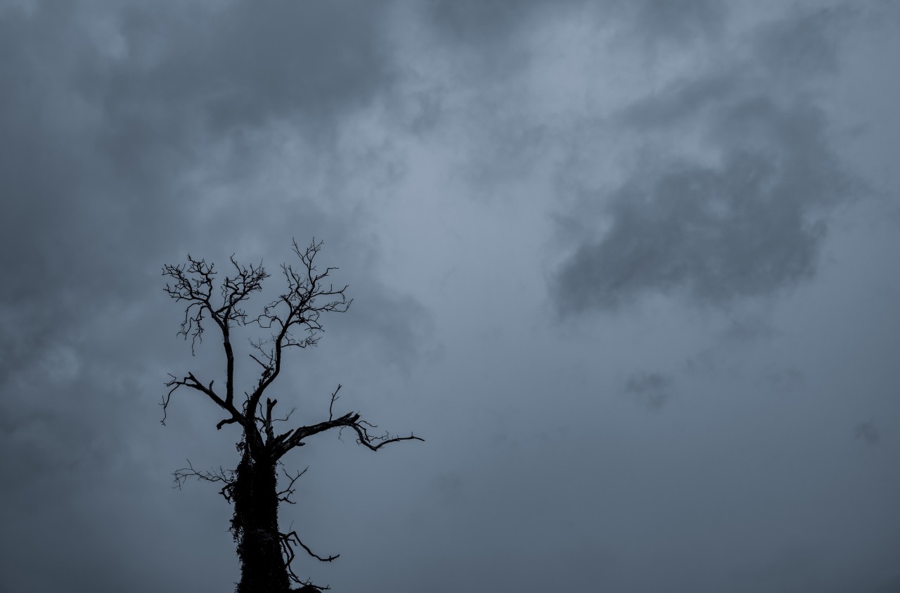 Halloween steht an. Das Wetter soll dabei eine böse Überraschung parat haben. (Symbolfoto)