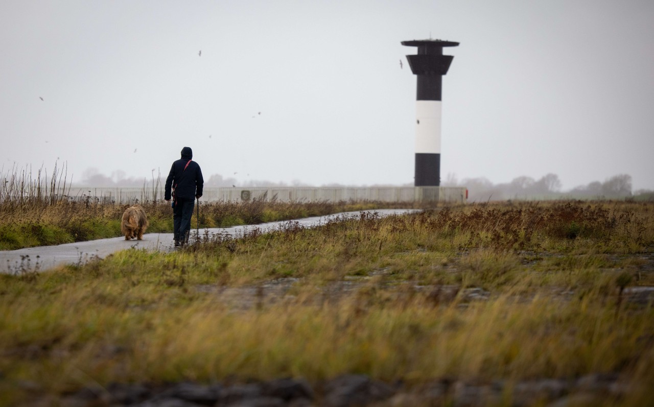 Ein Mann aus Frankreich und sein Hund wurden ein Herz und eine Seele. (Symbolbild)