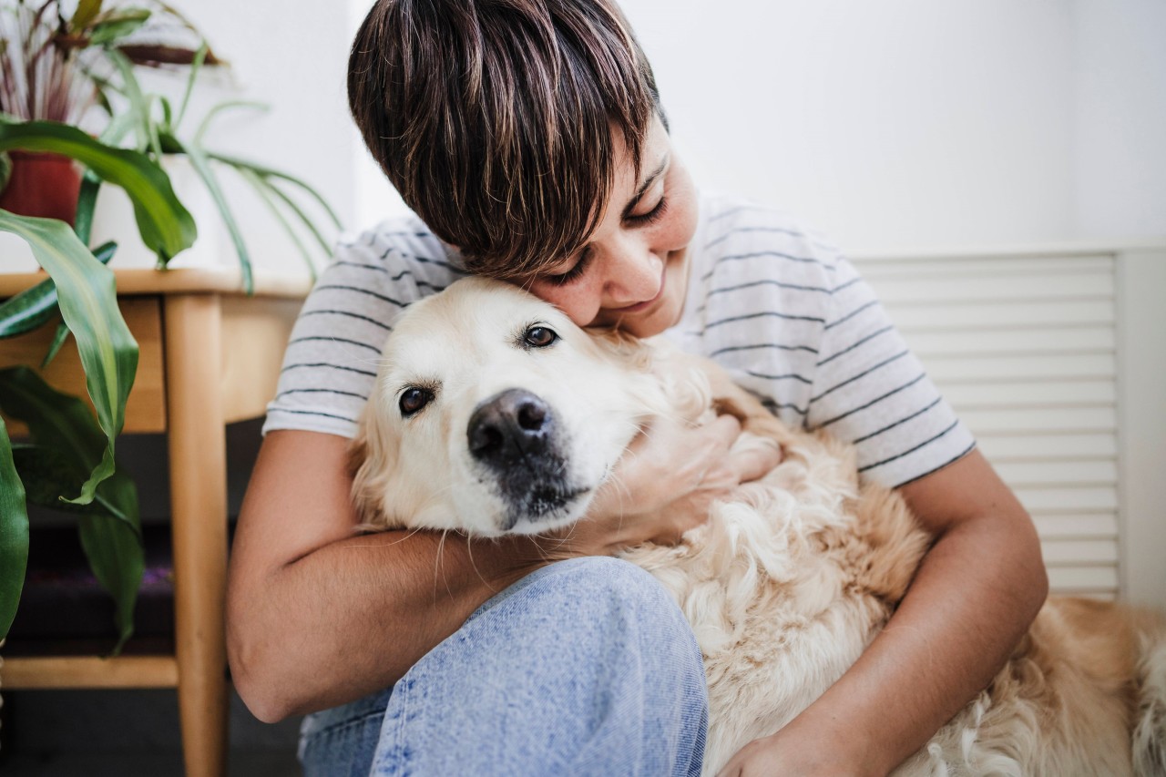 Kuriose Überraschung eines Hundes! (Symbolfoto)