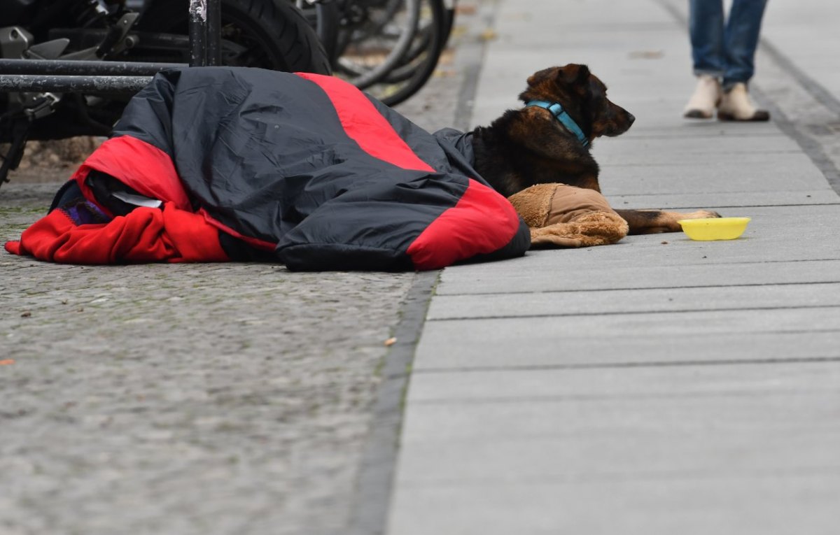 Hund_Essen_Obdachloser.jpg