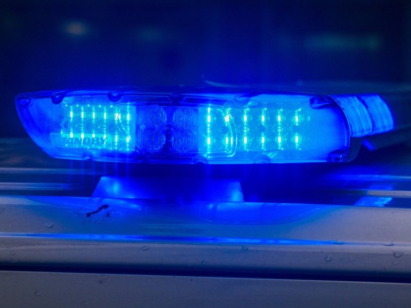 Hund: Tochter wurde vergewaltigt – Mutter lenkt Verdacht auf Vierbeiner