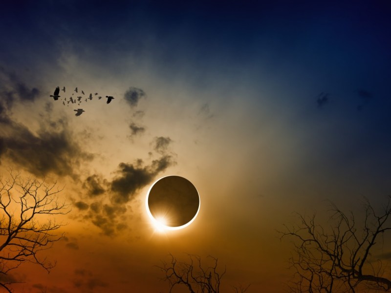 Sonnenfinsternis in NRW