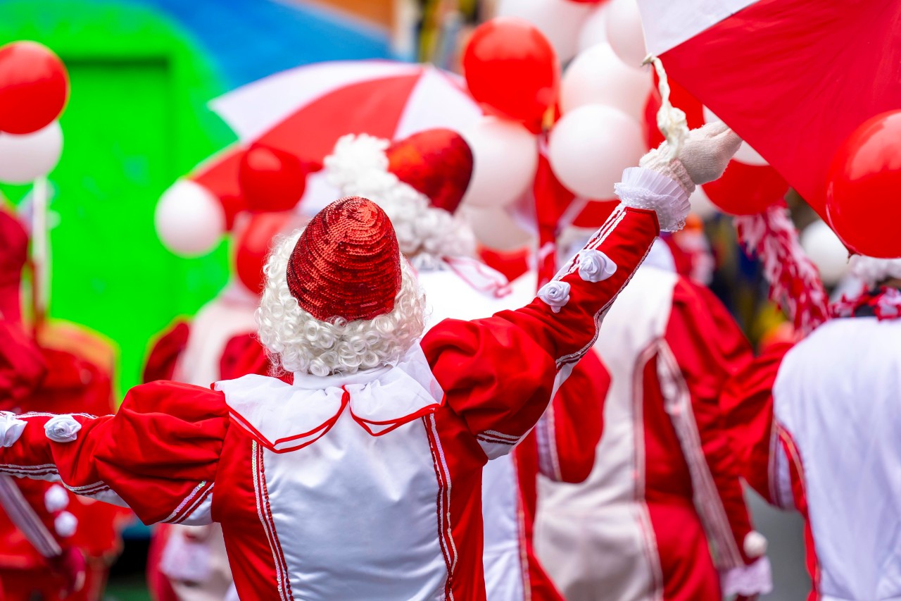 Karneval auf einem Kreuzfahrtschiff? Jetzt ist es möglich. (Symbolbild)