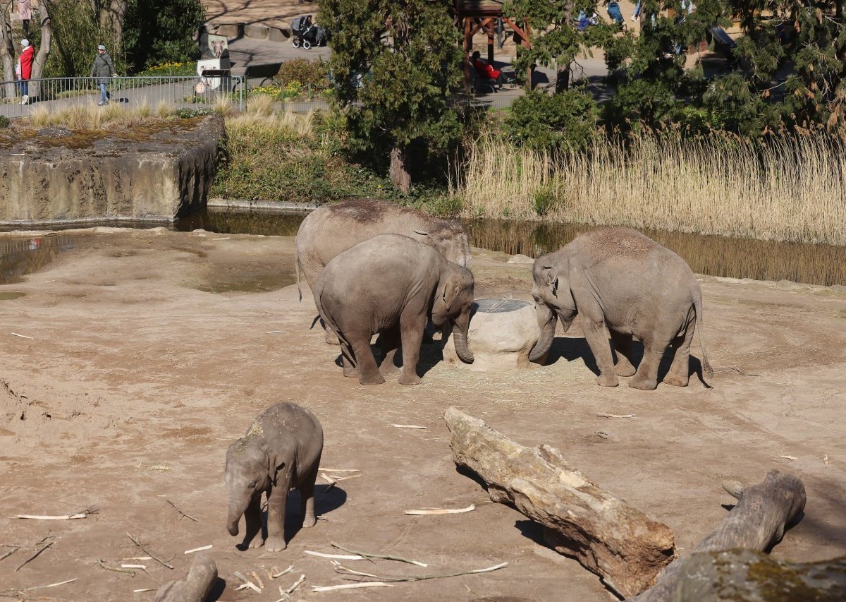 Kölner Zoo.jpg