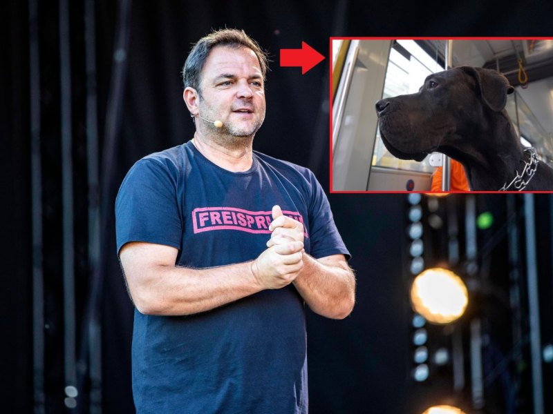 Martin Rütter.jpg