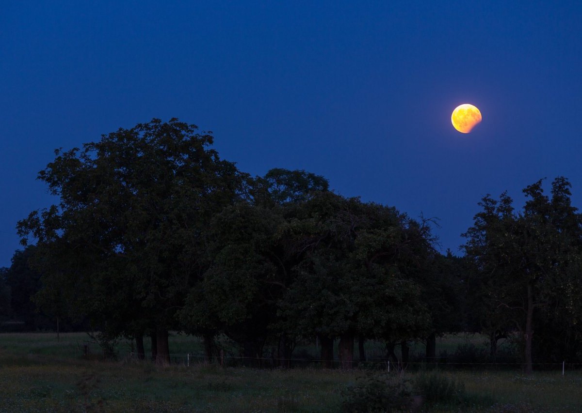 Mondfinsternis.jpg