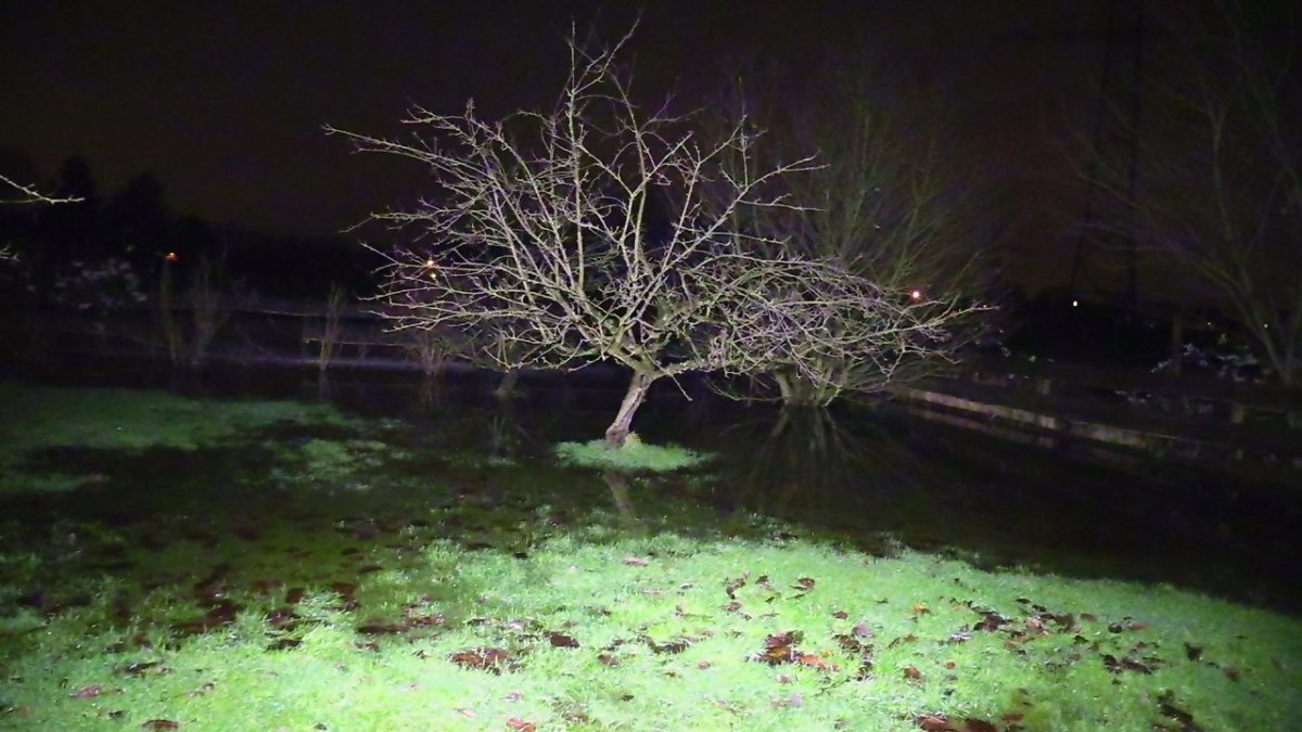 Muelheim-Hochwasser-Wetter-Regen.jpg