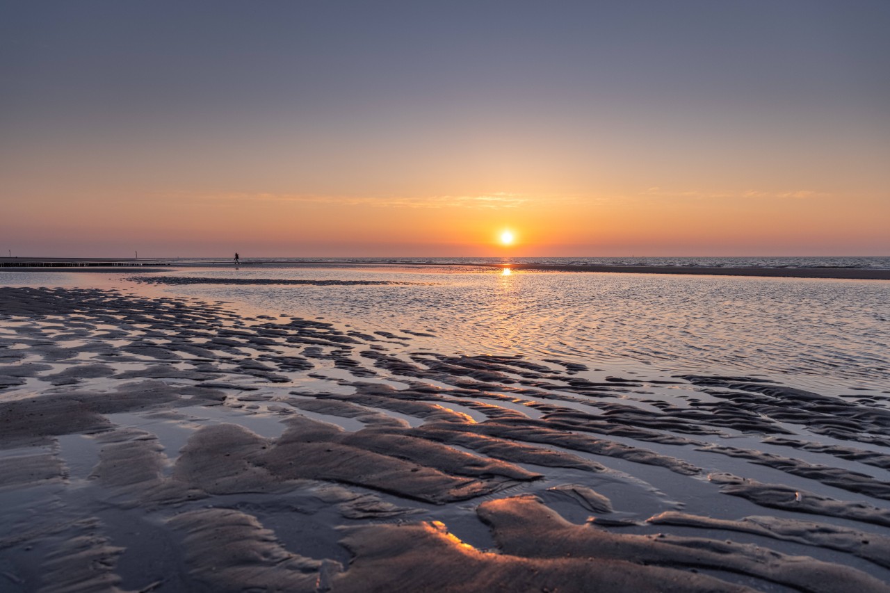 Urlaub an der Nordsee: Eine Insel-Gastgeberin hat jetzt eine verzweifelte Nachricht geschickt. (Symbolbild)