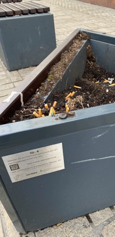 Oberhausen: Dieser Blumenkübel sorgt für Aufregung um Netz! 